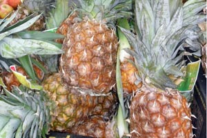Ananas - hvis din ananas ikke er modnet, kan du hjælpe den på vej