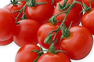 Slatne tomater kan blive som nye
