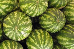 Vandmeloner - hvordan ser man, om de er modne?