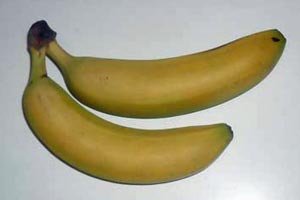 Det er ikke uvæsentligt, hvordan du opbevarer bananer